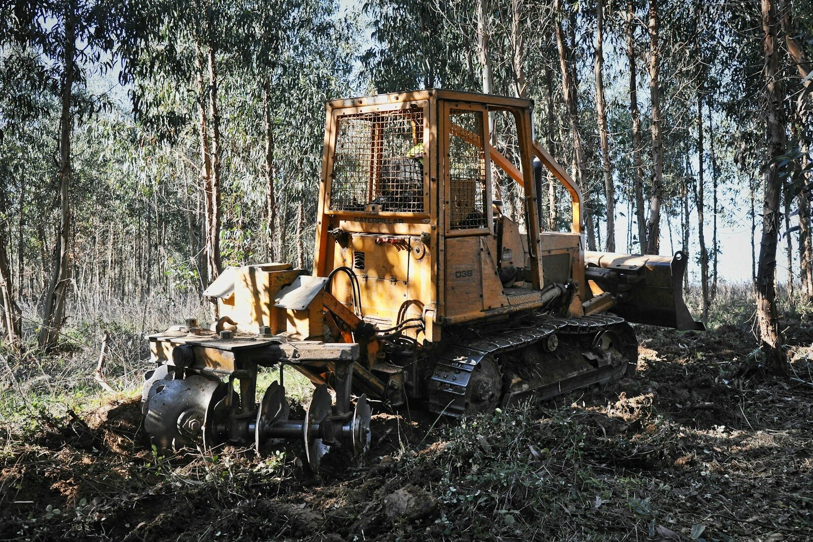 Forestry mulching machine working in the woods