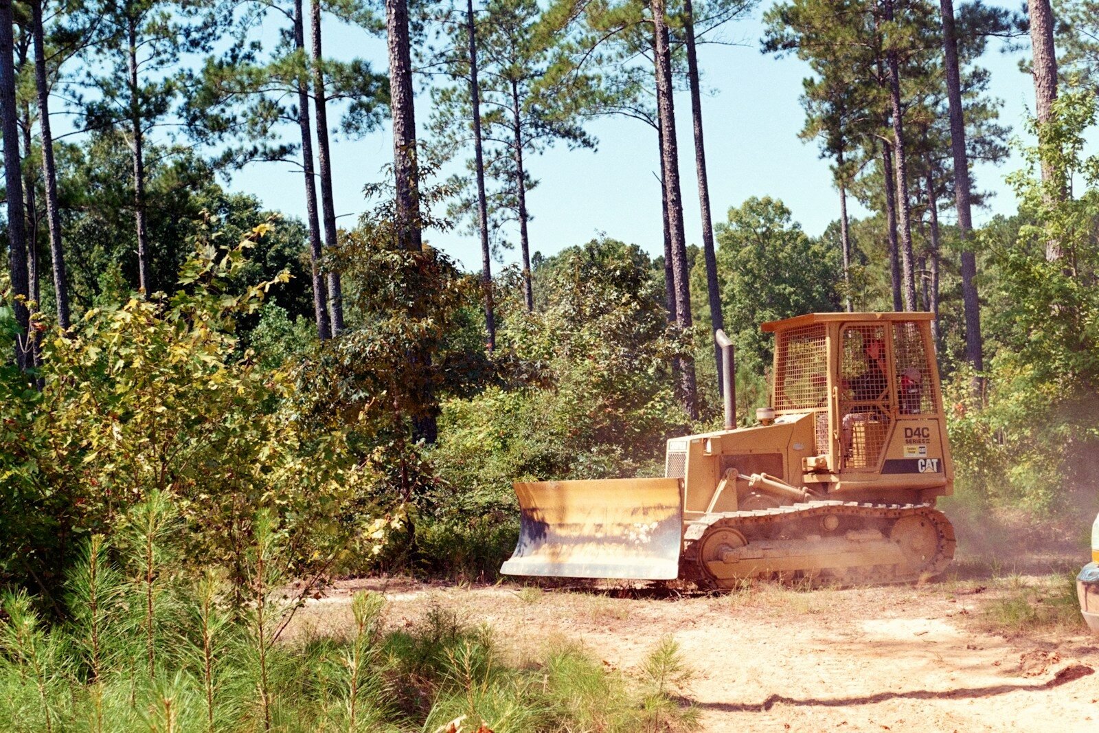 Machine clearing brush in a wooded area
