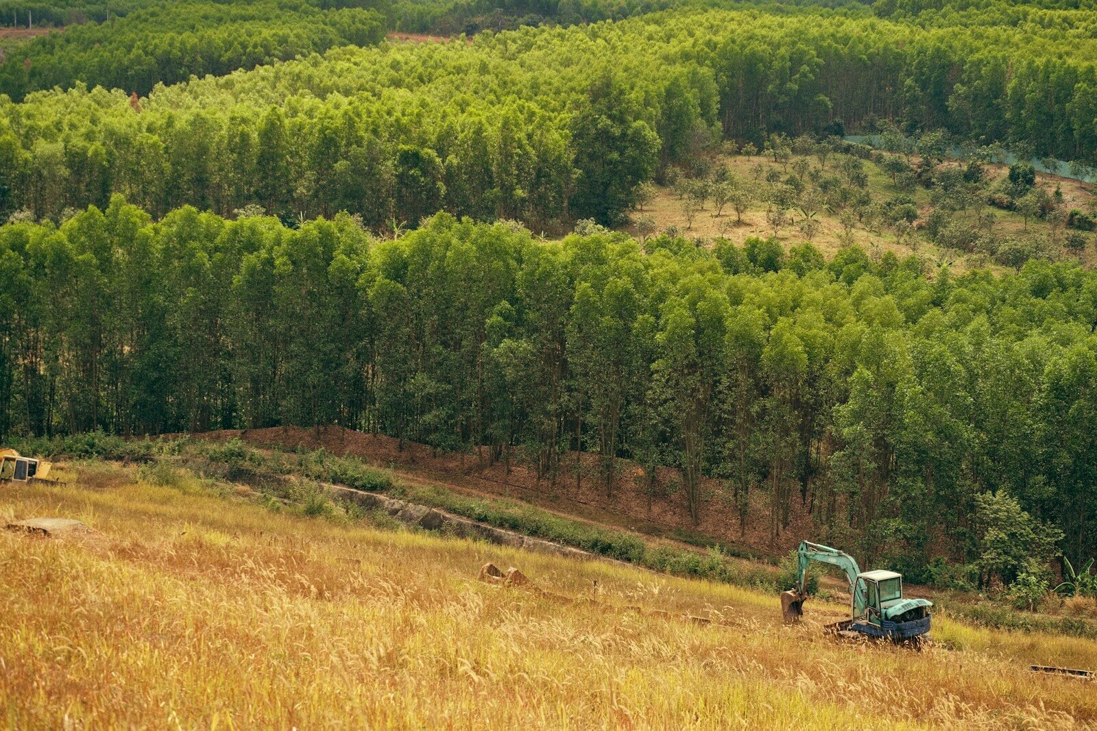 Excavator clearing a dry grassy hillside